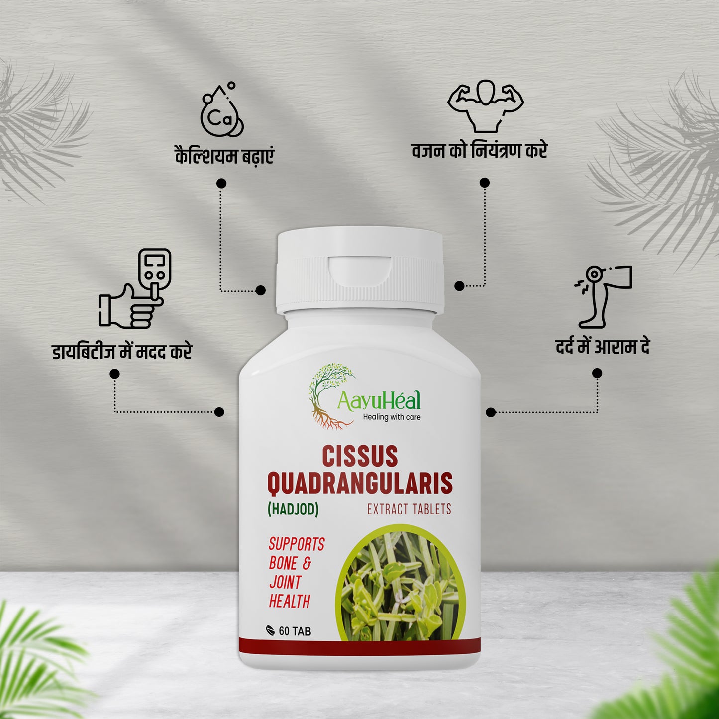 Joint Pain & Muscle Relief Kit – Ayurvedic Support for Stiffness, Swelling & Mobility | Cissus Tablets, Nimoil Liniment & Nimorab-20+ Balm