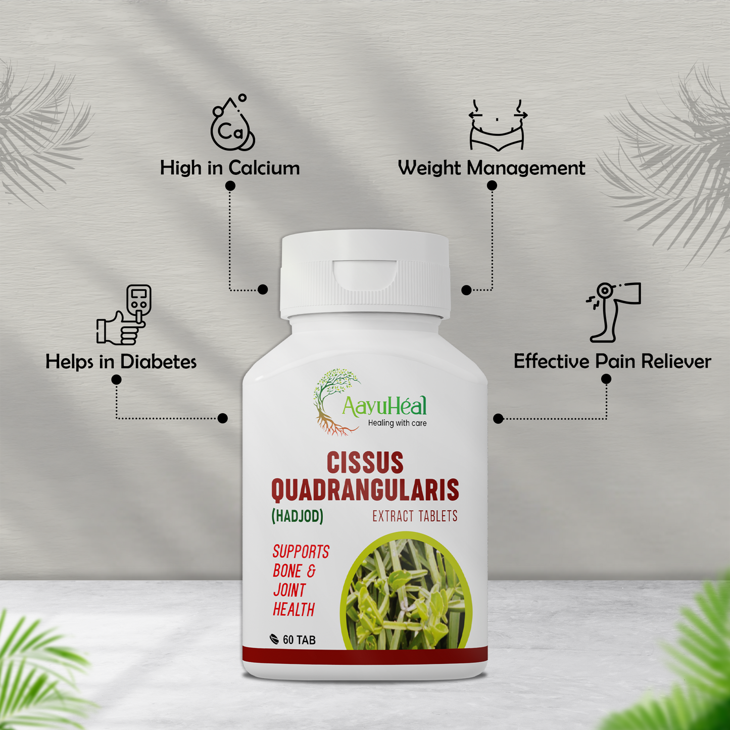 Cissus Extract Tablets – Ayurvedic Bone Strength, Joint Pain Relief & Muscle Recovery Support