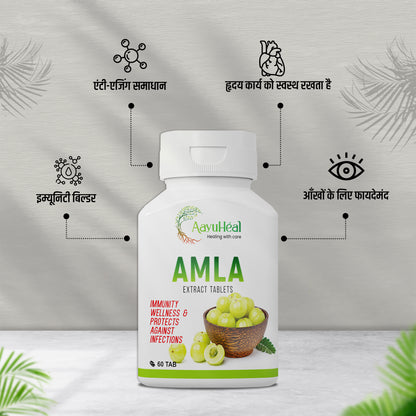 Amla Extract Tab 60T