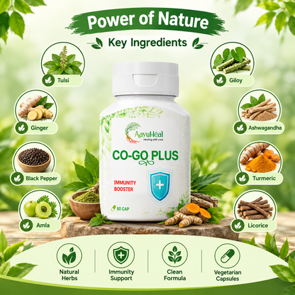 Immunity Support Capsules Ayurvedic Herbal Wellness Support for Everyday Immunity