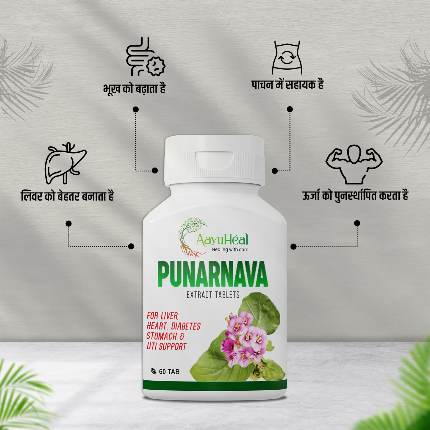 Punarnava Extract Tab 60T