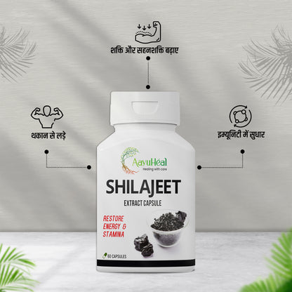 Shilajeet Extract Cap 60cap