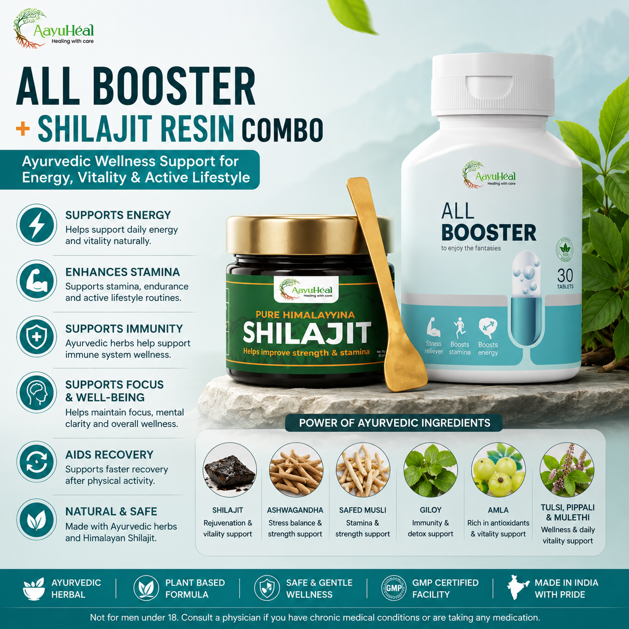 1 All Booster + Himalayan Shilajit Resin Combo  Ayurvedic Herbal Vitality & Wellness Support Kit