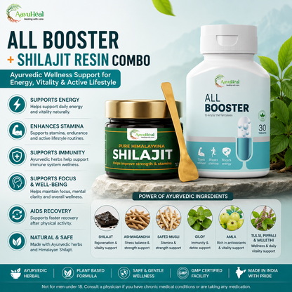 1 All Booster + Himalayan Shilajit Resin Combo  Ayurvedic Herbal Vitality & Wellness Support Kit