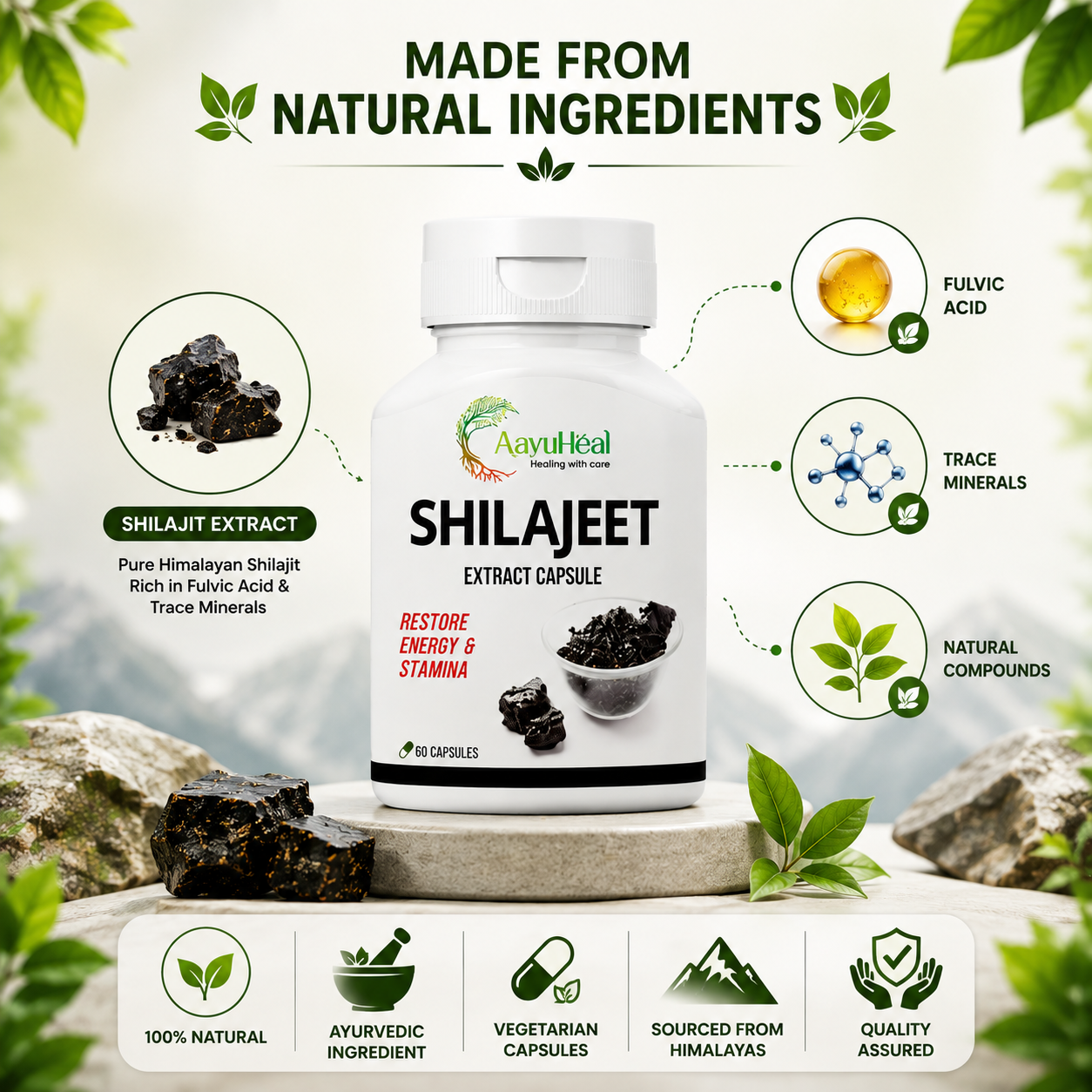 AayuHeal Shilajit Extract Capsules | Ayurvedic Daily Energy & Stamina Support