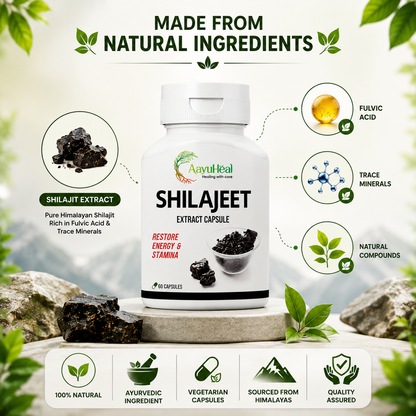 AayuHeal Shilajit Extract Capsules | Ayurvedic Daily Energy & Stamina Support