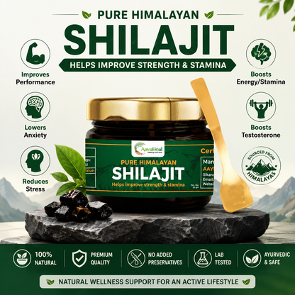 Pure Himalayan Shilajit Resin | Ayurvedic Wellness Support for Vitality & Daily Energy | 20g