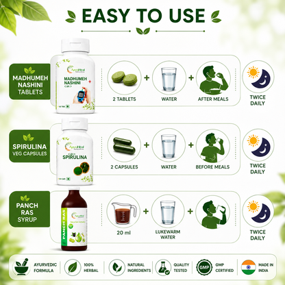 Ayurvedic Blood Sugar Wellness Support Kit | Madhumeh Nashini Tablets, Spirulina Veg Capsules & Panch Ras Syrup
