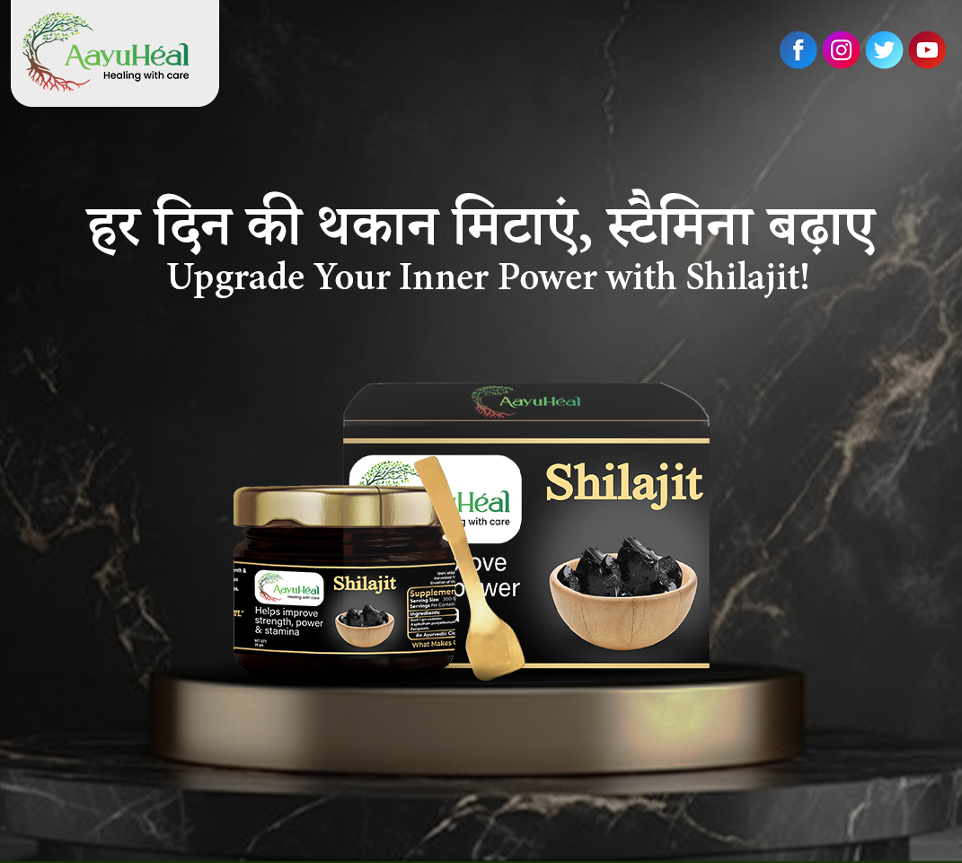 Shilajit Resin