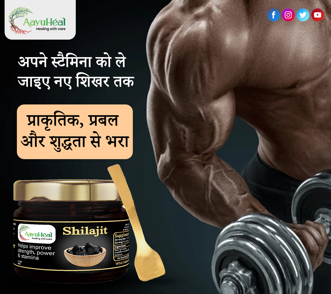 Pure Himalayan Shilajit Resin | Ayurvedic Wellness Support for Vitality & Daily Energy | 20g