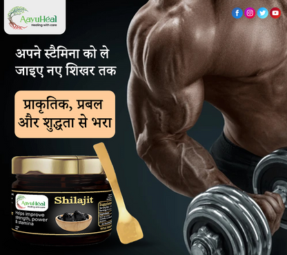 Pure Himalayan Shilajit Resin | Ayurvedic Wellness Support for Vitality & Daily Energy | 20g