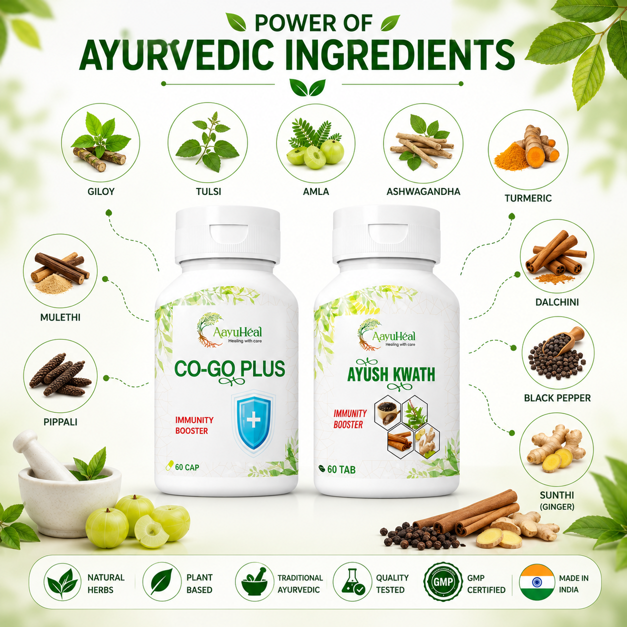 Two white Ayurvedic supplement bottles labeled Co-Go Plus and Ayush Kwath centered on a light green background with ingredient callouts including giloy, tulsi, amla, ashwagandha, turmeric, mulethi, pippali, dalchini, black pepper, and sunthi. Text at the top reads 'POWER OF AYURVEDIC INGREDIENTS' and a row of icons at the bottom highlights natural herbs, plant-based formulation, traditional ayurvedic approach, quality testing, GMP certification, and made in India.
