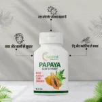 Papaya-tab-+-Ayush-Kwath-tab